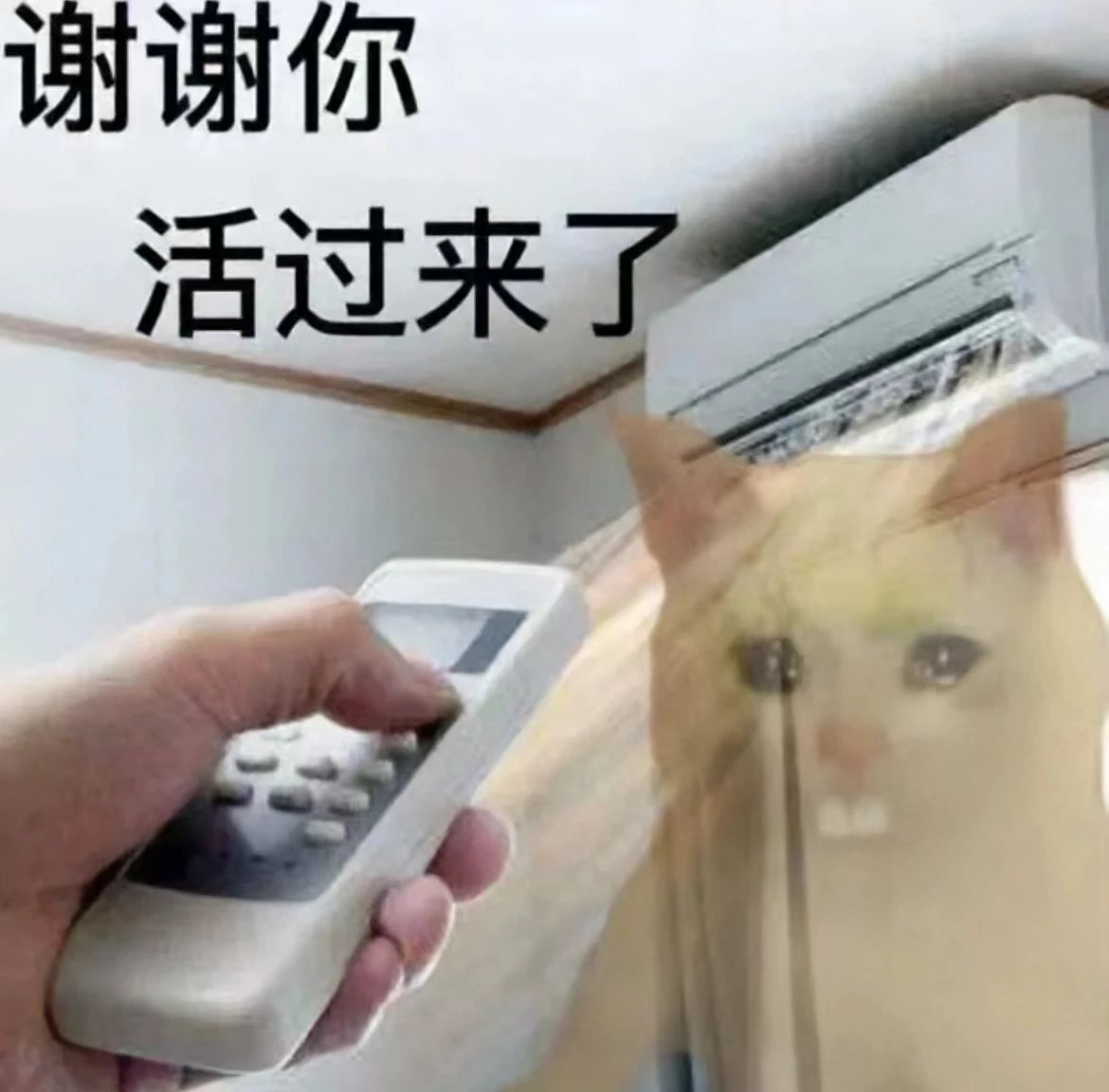 微信图片_20240820113926.jpg 微信图片_20240820113926.jpg