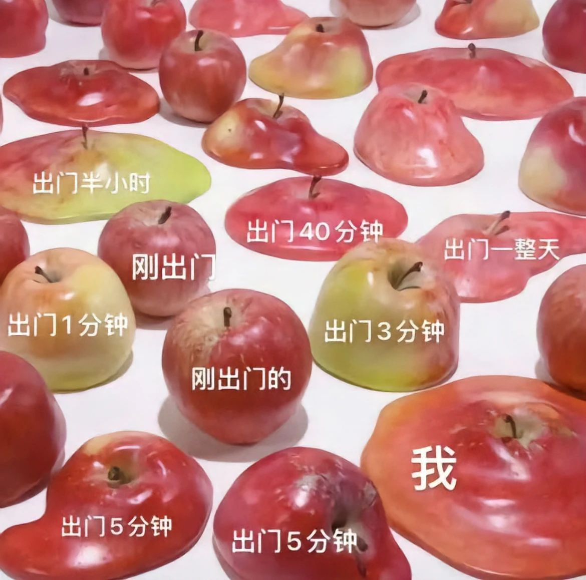 微信图片_20240820113917.jpg 微信图片_20240820113917.jpg