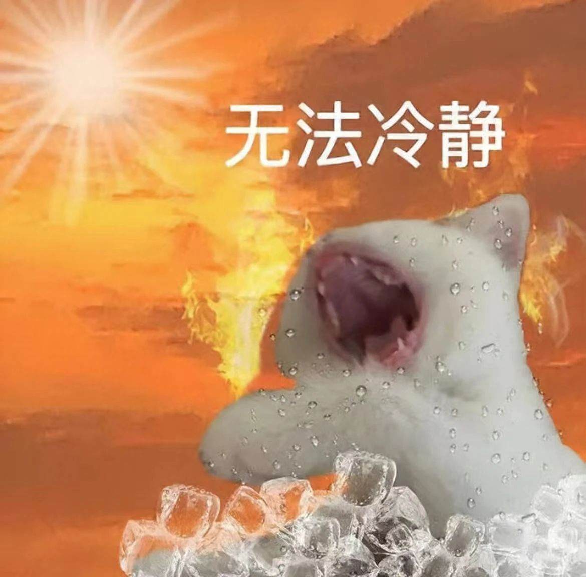 微信图片_20240820113913.jpg 微信图片_20240820113913.jpg