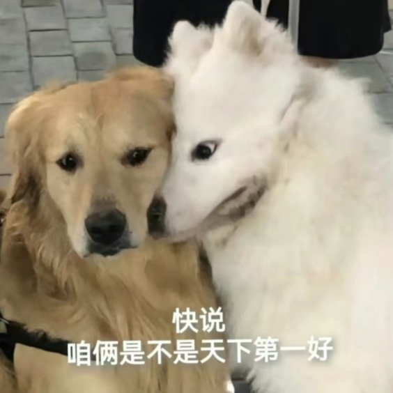 微信图片_20240903142108.png 微信图片_20240903142108.png