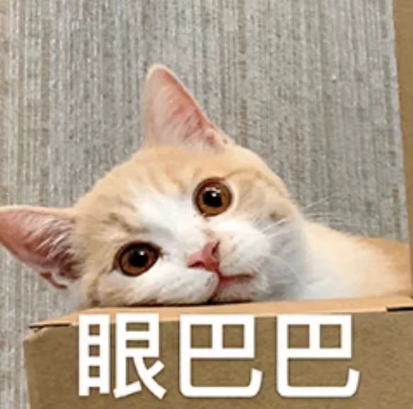 微信图片_20240910132955.jpg 微信图片_20240910132955.jpg