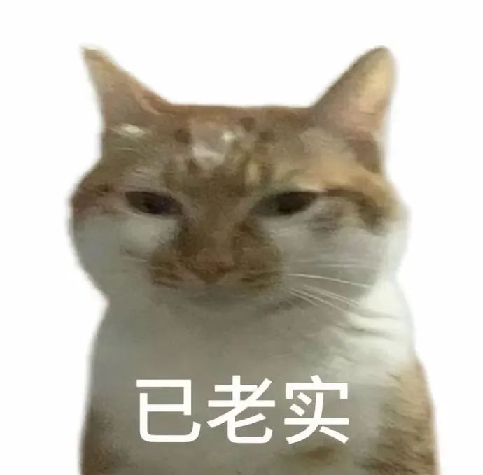 微信图片_20241007113141.jpg 微信图片_20241007113141.jpg