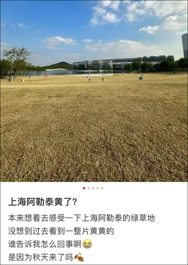 微信图片_20241015141151.jpg 微信图片_20241015141151.jpg