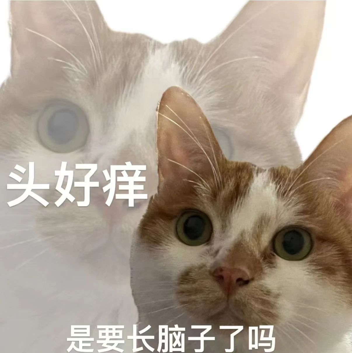 微信图片_20241015143208.jpg 微信图片_20241015143208.jpg