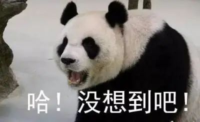 微信图片_20241016133118.jpg 微信图片_20241016133118.jpg