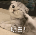 微信图片_20241031153030.png 微信图片_20241031153030.png