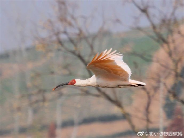 微信图片_20241105152825.jpg 微信图片_20241105152825.jpg