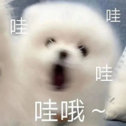 微信图片_20241106094422.jpg 微信图片_20241106094422.jpg