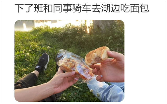 微信图片_20241207145313.jpg 微信图片_20241207145313.jpg