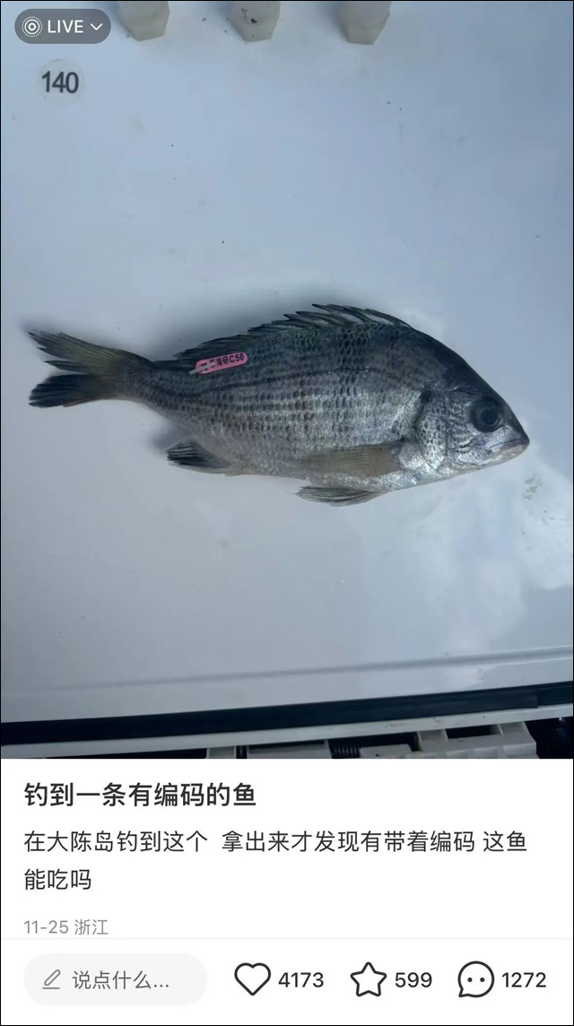 微信图片_20241210134737.jpg 微信图片_20241210134737.jpg