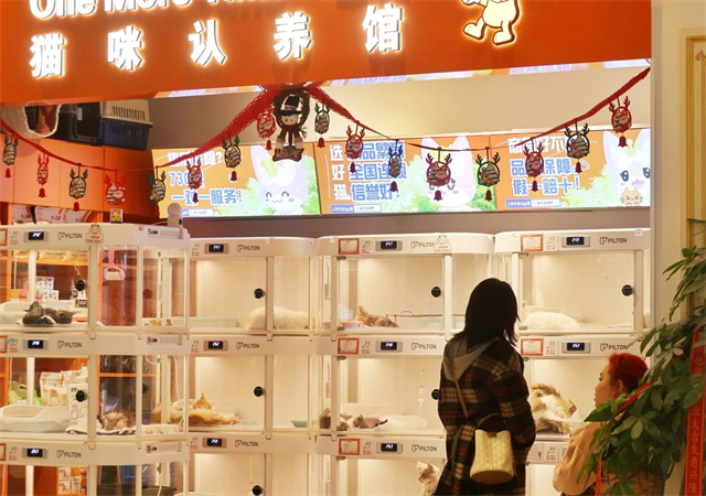 微信图片_20241214151851.jpg 微信图片_20241214151851.jpg