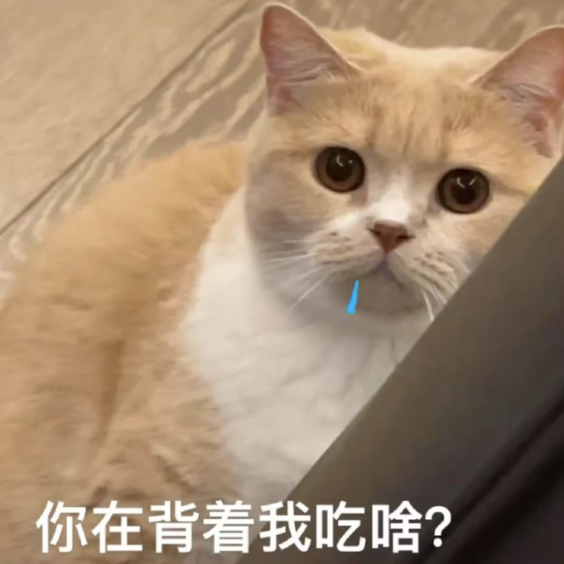 微信图片_20241227101914.png 微信图片_20241227101914.png