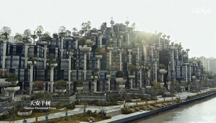 微信图片_20250114115038_compressed_compressed.gif 微信图片_20250114115038_compressed_compressed.gif