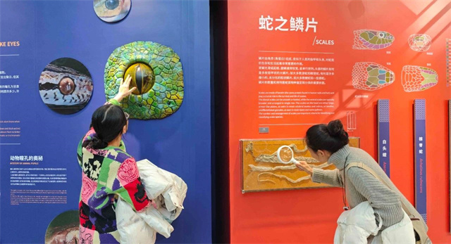 微信图片_20250121153748.jpg 微信图片_20250121153748.jpg