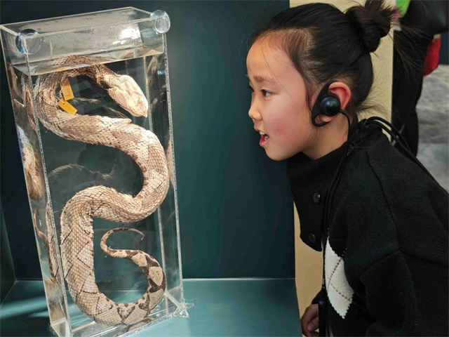 微信图片_20250121153745.jpg 微信图片_20250121153745.jpg