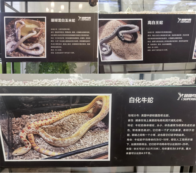 微信图片_20250128111441.jpg 微信图片_20250128111441.jpg