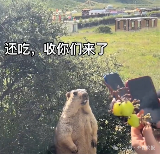 微信图片_20250213150718.jpg 微信图片_20250213150718.jpg