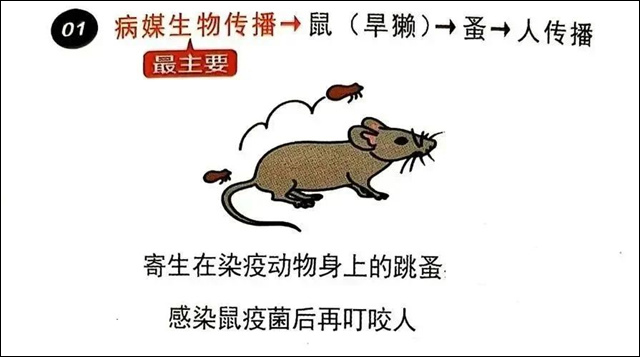 微信图片_20250213150733.jpg 微信图片_20250213150733.jpg
