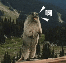 微信图片_20250213150728.gif 微信图片_20250213150728.gif