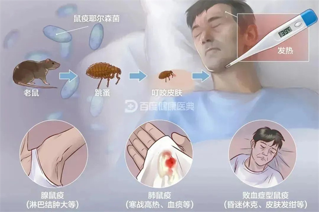 微信图片_20250213150735.jpg 微信图片_20250213150735.jpg
