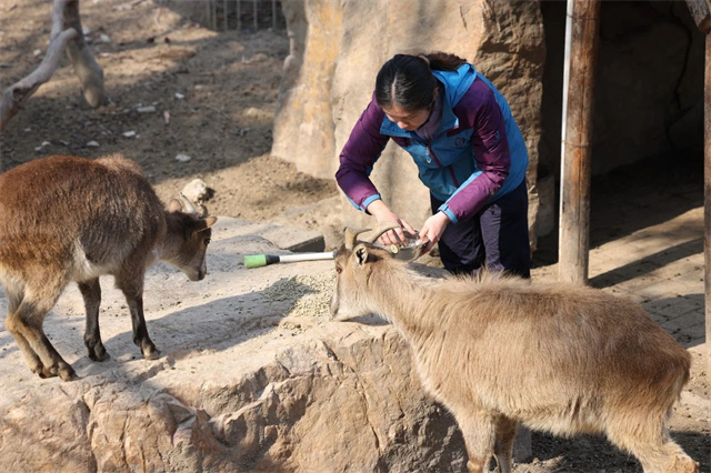 微信图片_20250221131817.jpg 微信图片_20250221131817.jpg