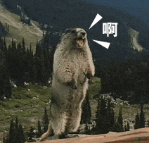 微信图片_20250226111520.gif 微信图片_20250226111520.gif