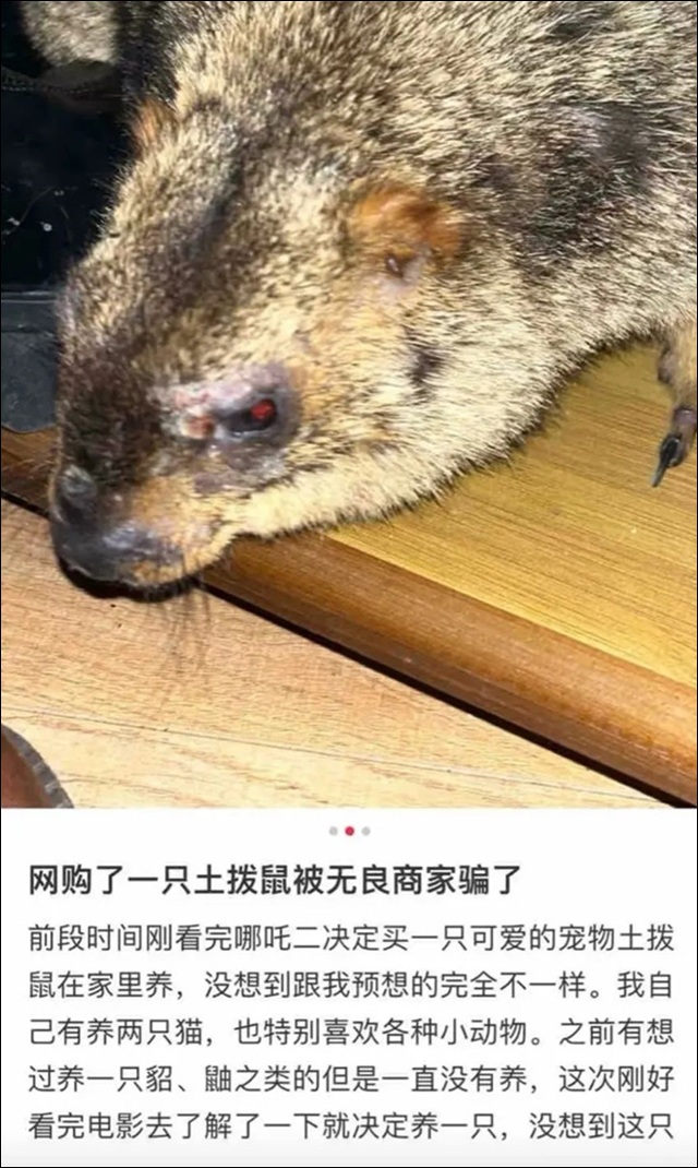 微信图片_20250226111523.jpg 微信图片_20250226111523.jpg