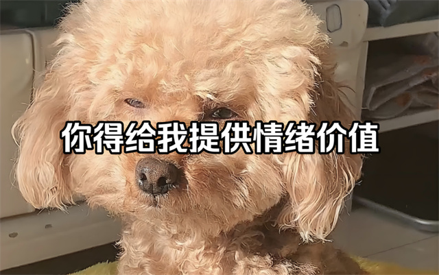 微信图片_20250308133926.jpg 微信图片_20250308133926.jpg