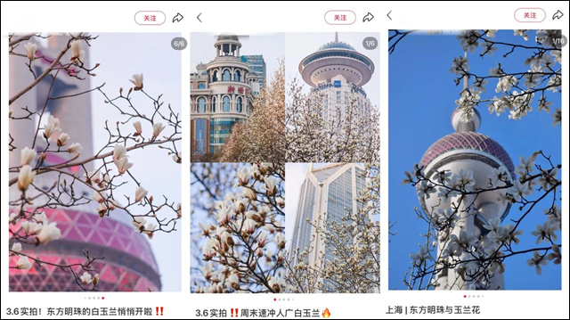 微信图片_20250312140631.jpg 微信图片_20250312140631.jpg