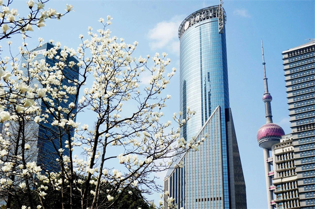 微信图片_20250312140646.jpg 微信图片_20250312140646.jpg