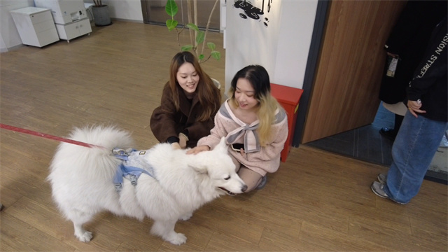 微信图片_20250329144227.jpg 微信图片_20250329144227.jpg