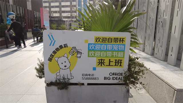 微信图片_20250329144224.jpg 微信图片_20250329144224.jpg