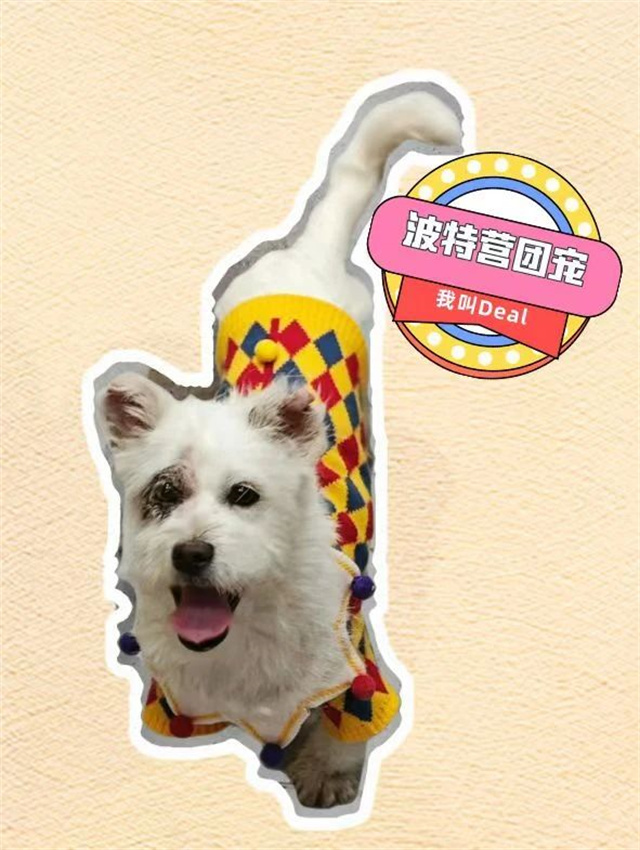微信图片_20250329144236.jpg 微信图片_20250329144236.jpg