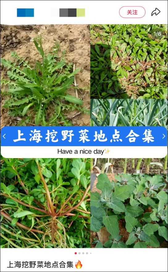 微信图片_20250408143420.jpg 微信图片_20250408143420.jpg
