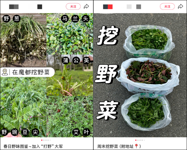 微信图片_20250408143416.jpg 微信图片_20250408143416.jpg