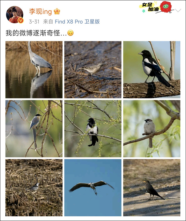 微信图片_20250411132835.jpg 微信图片_20250411132835.jpg