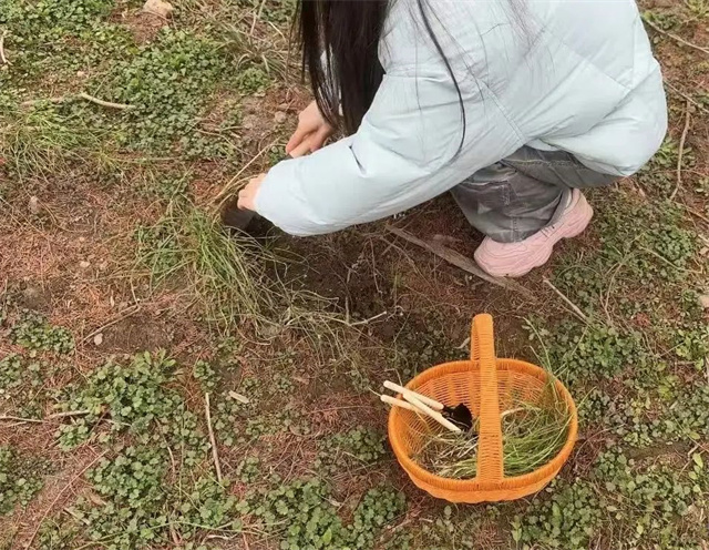 微信图片_20250412143936.jpg 微信图片_20250412143936.jpg