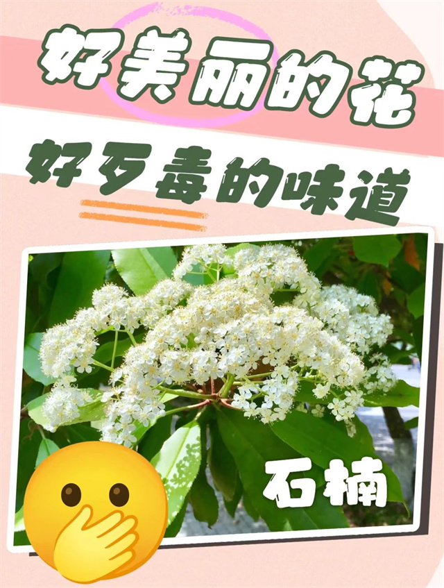 微信图片_20250423144007.jpg 微信图片_20250423144007.jpg