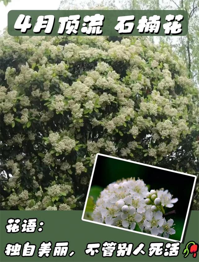 微信图片_20250423143956.jpg 微信图片_20250423143956.jpg