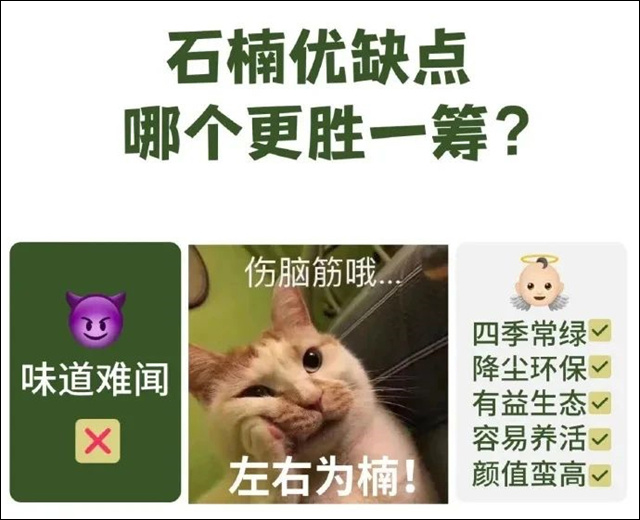 微信图片_20250423144018.jpg 微信图片_20250423144018.jpg