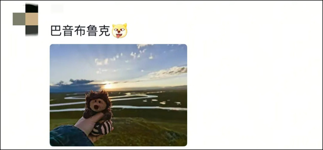 微信图片_20250506153445.jpg