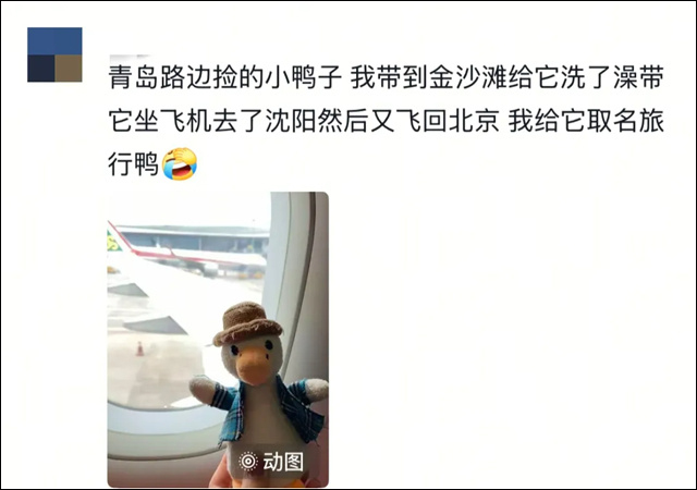 微信图片_20250506153455.jpg