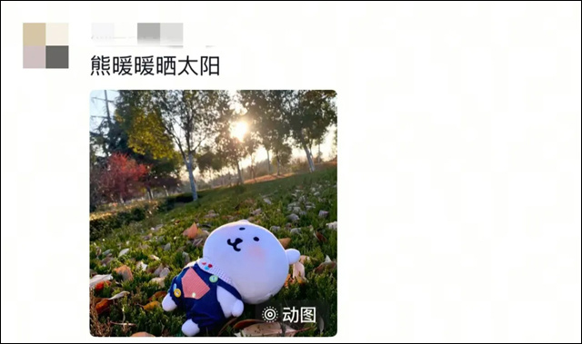 微信图片_20250506153518.jpg