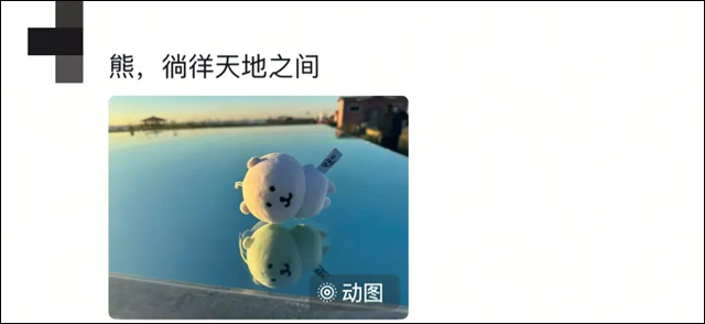 微信图片_20250506153447.jpg
