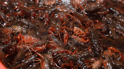 微信图片_20250525100319_compressed.gif 微信图片_20250525100319_compressed.gif