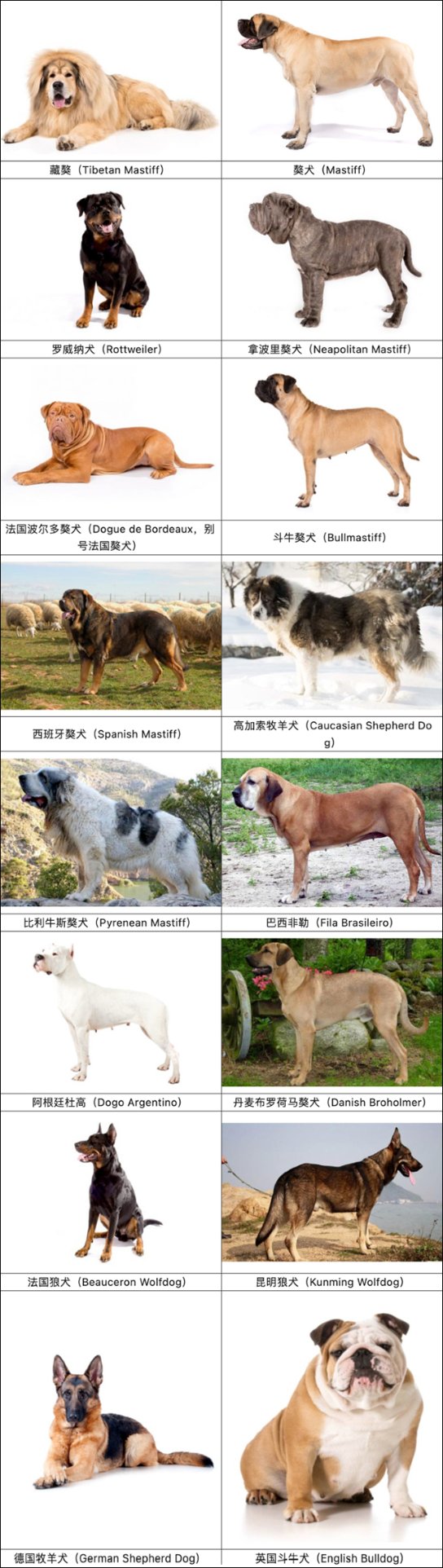 微信图片_20250704134404.jpg 微信图片_20250704134404.jpg