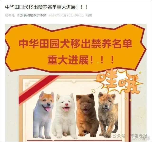 微信图片_20250704134356.jpg 微信图片_20250704134356.jpg