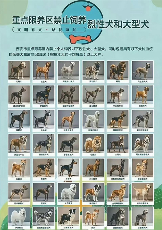 微信图片_20250704134352.jpg 微信图片_20250704134352.jpg