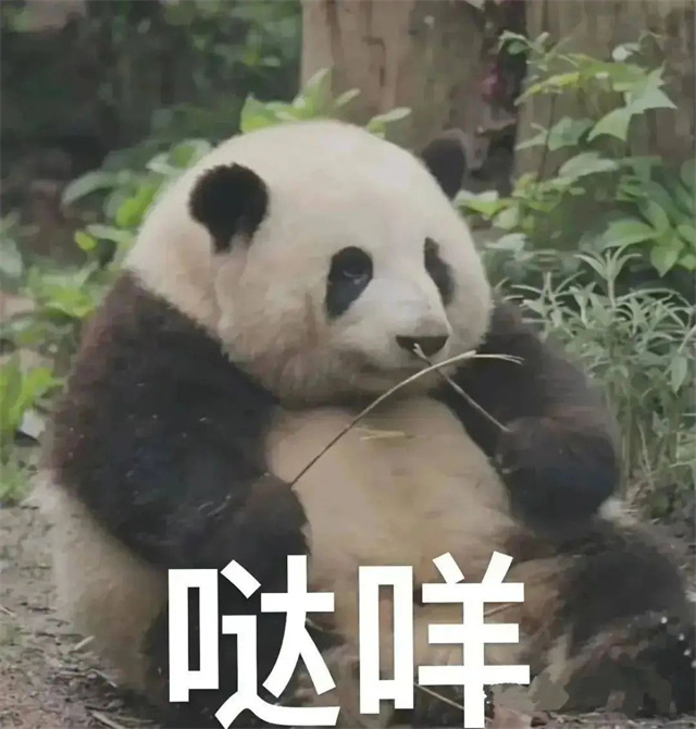 微信图片_20250709131249.jpg 微信图片_20250709131249.jpg