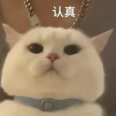 微信图片_20250722130147.png 微信图片_20250722130147.png